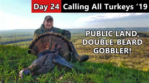 Double Beard Public Land Gobbler Calling All Turkeys Youtube