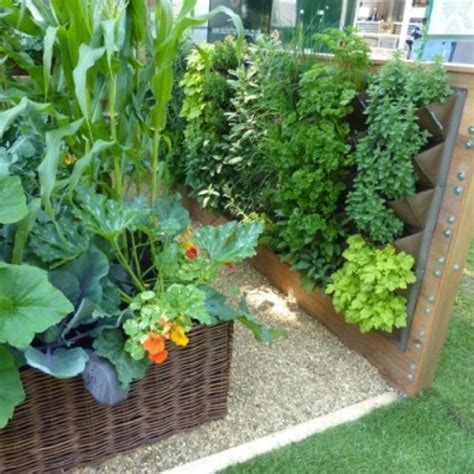 Growing Vegetables In Small Spaces