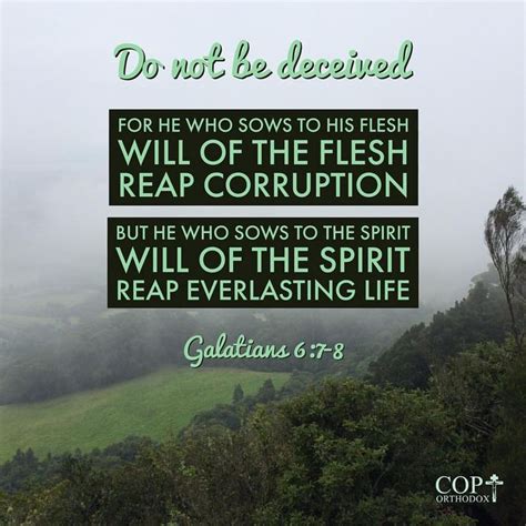 Do Not Be Deceived God Is Not Mocked For Whatever A Man Sows That He Will Also Reap For He