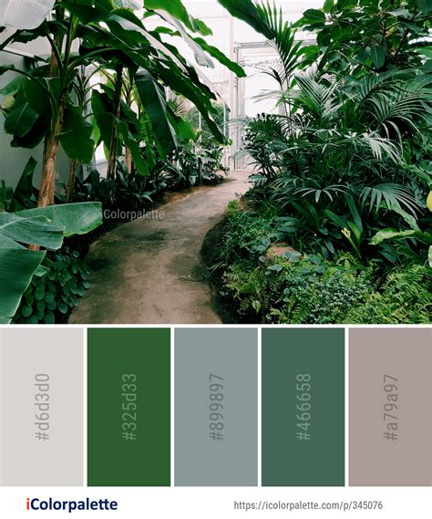 104 Rainforest Color Palette Ideas In 2019 Icolorpalette Green