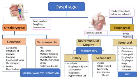 Approach To The Patient With Dysphagia Classification