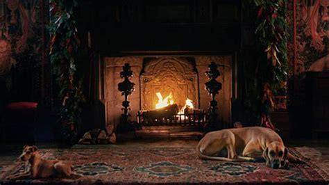 And lo, was born the televised yule log, commonly believed to be the brainchild of fred thrower, general manager of wpix, a new york city. When is the Yule Log on TV in 2014?