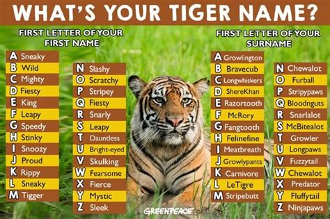 Mine S Mystic Razor Fang Names Tiger Wildlife Adventure