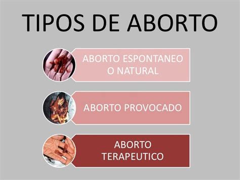 El Aborto Tipos Laura S Medium
