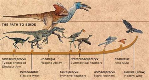 Did Dinosaurs Really Become Extinct 65 Million Years Ago Images And