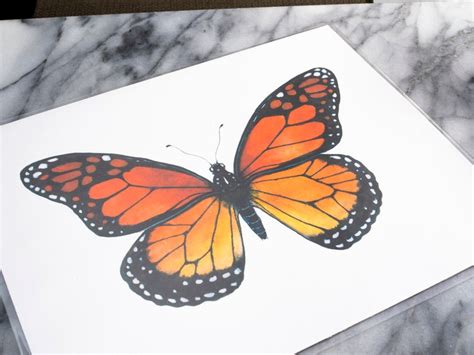 Monarch Butterfly Art Print Art And Collectibles Painting Jan