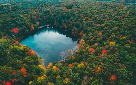 壁纸 阳光 树木 景观 丰富多彩 森林 秋季 爬坡道 湖 水 性质 红 绿色 黄色 蓝色 鸟瞰图 高原 叶
