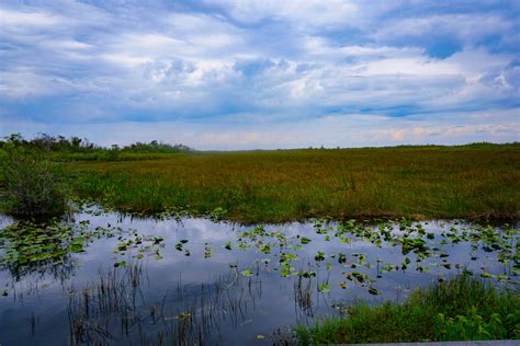Please refer to www.nps.gov for additional information. Tour the Everglades Through All 4 Everglades National Park ...