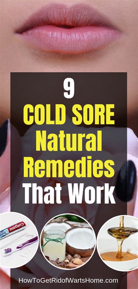 9 Cold Sore Natural Remedies That Work Cold Sore Blister Remedies