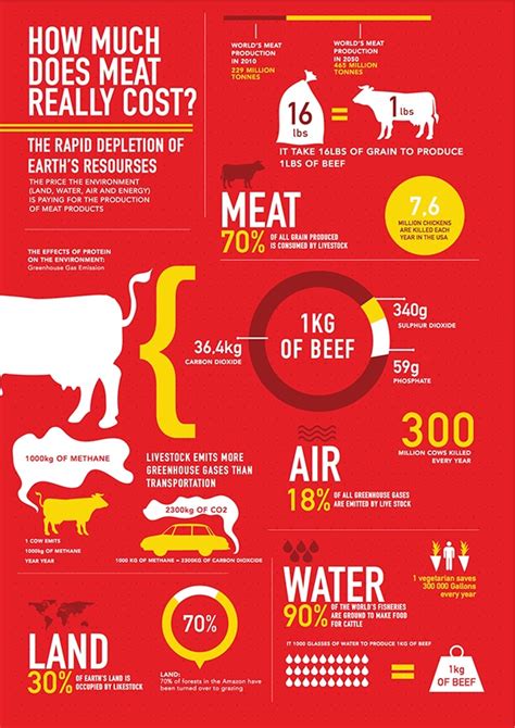 It benefits both the passenger and the driver to. Infographic - How Much Does Meat Really Cost? on Behance