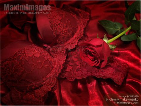 Photo Of Red Rose And Lingerie Stock Image Mxi21850
