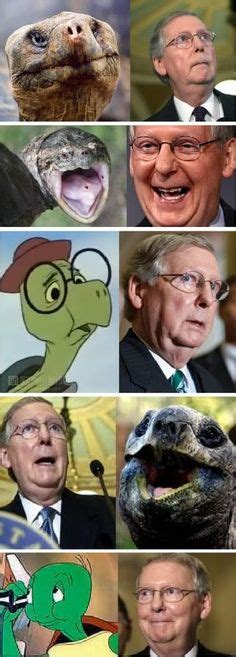 Addison mitchell mcconnell iii (born february 20, 1942) is an american politician. Now THAT'S Funny! on Pinterest | Ryan Gosling, Ha Ha and Funny