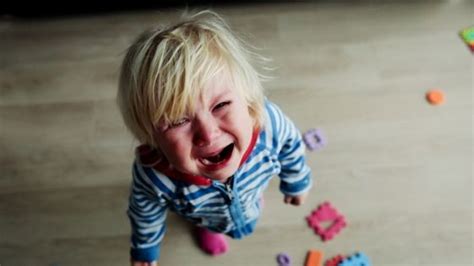How To Deal With Toddler Tantrums Mombrite