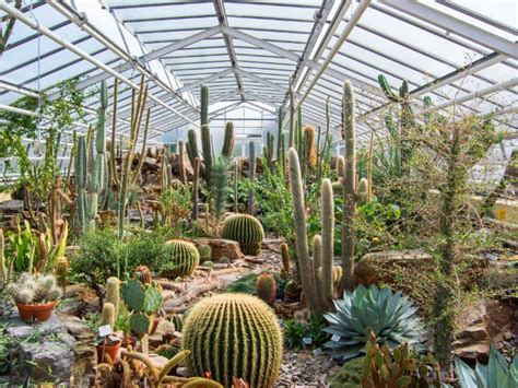 Maybe you would like to learn more about one of these? Botanischer Garten in München - Das offizielle Stadtportal ...