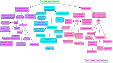 Mapa Conceptual Ecosistema Terrestre Y Acuatico Mapa Conceptual