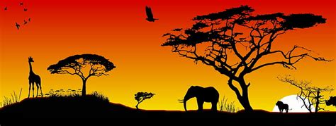 African Animal Sunset Silhouettes