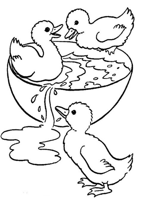 Https://tommynaija.com/coloring Page/coloring Pages Of Ducks