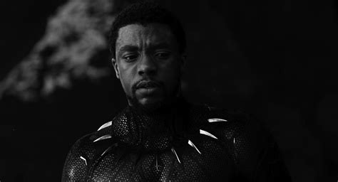 Black Panther Elenco de Wakanda Forever le rindió un hermoso tributo