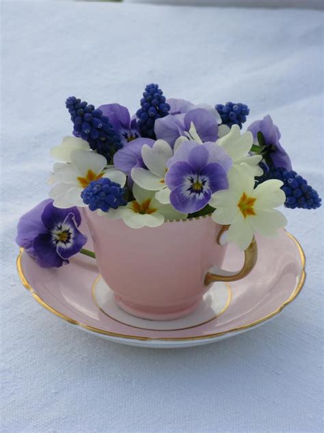 Not So Much A Storm In A Teacup Spring Flowers Beautiful Flowers