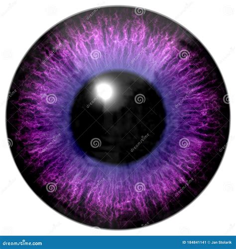 Detail Of Eye With Pink Purple Colored Iris And Black Pupil Stock