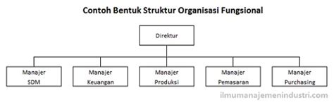 Contoh Struktur Organisasi Fungsional Dan Penjelasannya Berbagai Riset