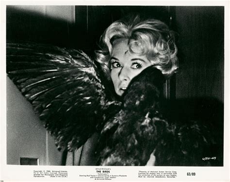20 amazing publicity photographs of tippi hedren for 1963 horror classic “the birds” vintage