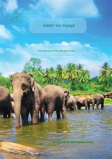 Calaméo Brochure Sri Lanka Chloé