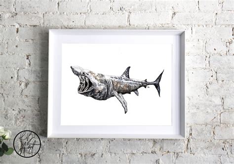 Basking Shark Art Print Basking Shark Illustration Ocean Etsy Uk