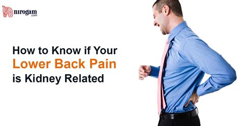 How To Know If Your Lower Back Pain Is Kidney Related Nirogam