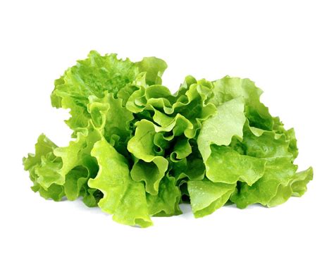 What Are The Best Health Benefits Of Lettuce Health Cautions