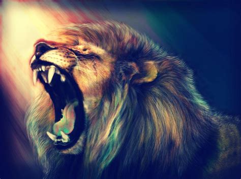 Cool Lion Wallpapers On Wallpaperdog