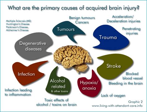 Living With Attendant Care Acquired Brain Injury Causes