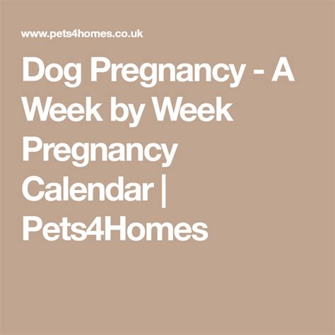 Canine Pregnancy Week By Week Printable Clendar Printable Calendar