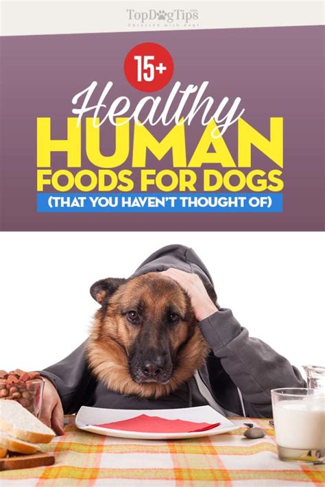 16 Best Human Foods For Dogs That You Havent Thought Of