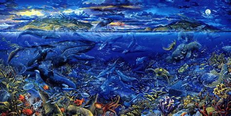 Animals Fishes Whales Tropical Underwater Water Sea Ocean