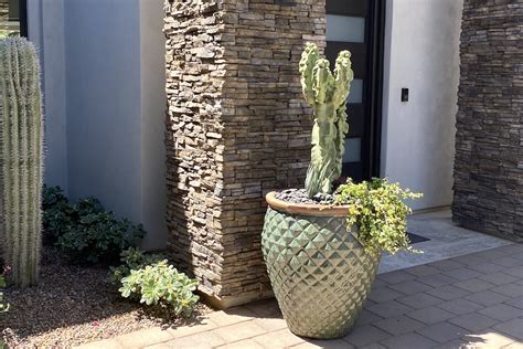 Great Plants And Ideas From Arizona Gardens Debra Lee Baldwin
