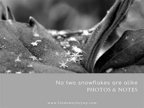 No Two Snowflakes Are Alike Photos And Notes Find A Way By Jwp