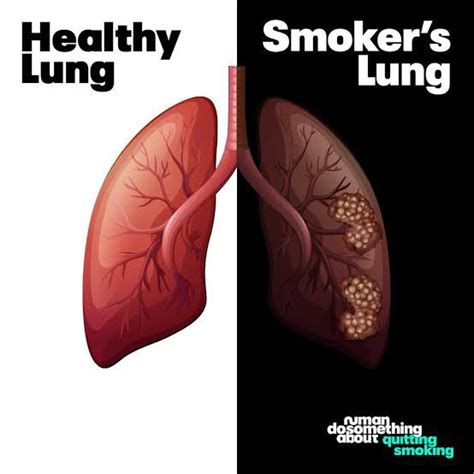 how to heal your lungs from smoking quora