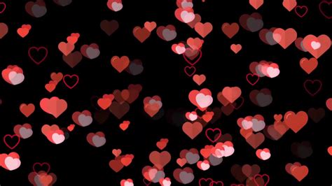 valentine day Particles Overlay free Template - Adobe After Effects