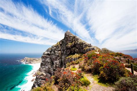 The Jt Insider Food Guide Cape Town South Africa Huffpost