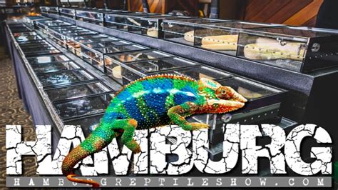 Reptile Show Vlog Youtube
