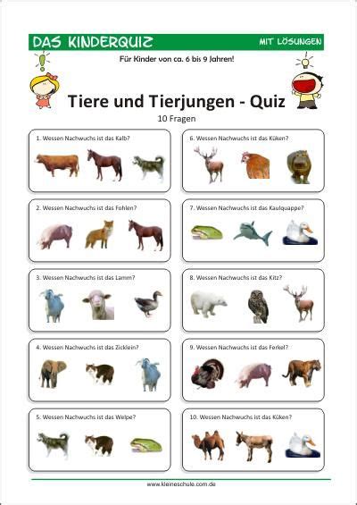 Tiere Und Tierjungen Quiz Für Kinder Für Kinder Von 6 9 Quiz Für
