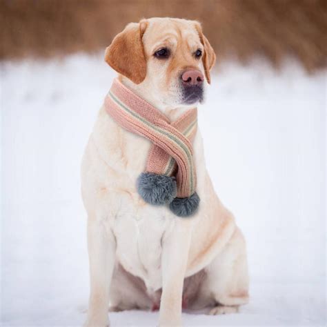 2020 Winter Dog Pet Scarf Warm Woolen Neck Scarf Dog Accessories