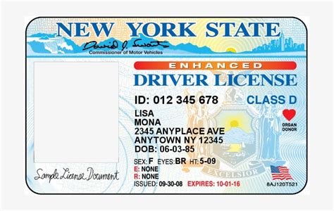 Download New York Drivers License Licencias De Conducir De New York