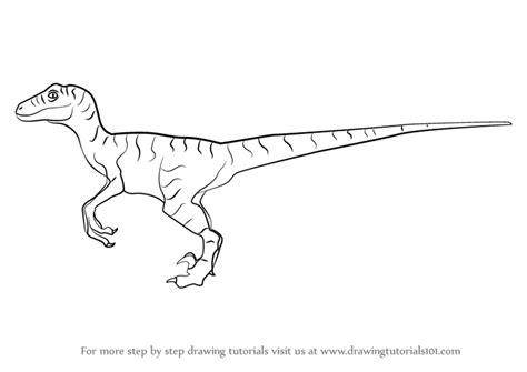 How to draw a tyrannosaurus rex, step by step, drawing guide, by dawn. Learn How to Draw a Velociraptor Dinosaur (Dinosaurs) Step ...