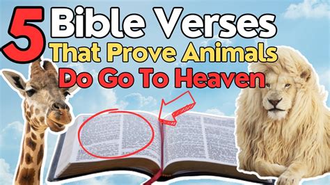 5 Bible Verses That Prove Animals Do Go To Heaven Youtube