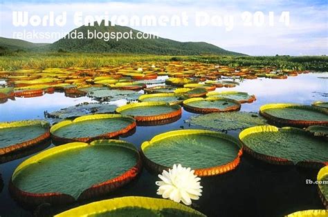 Keseimbangan lingkungan adalah suatu kemampuan dari lingkungan untuk menjaga kestabilannya meski dihadapkan dengan tekanan yang asalnya dari alam atau pun dari kegiatan manusia. Sambutan Hari Alam Sekitar Sedunia - World Environment Day ...