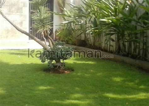 Jasa Tukang Taman Wilayah Jabodetabek