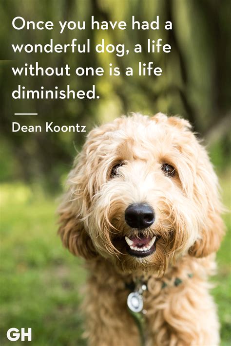 Cute Dogs With Sayings