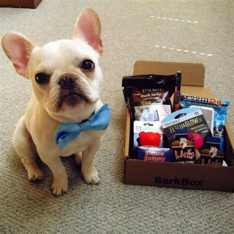 Bone dry dii bone shape pet. 64 best images about Gifts for the Dog-Obsessed on Pinterest